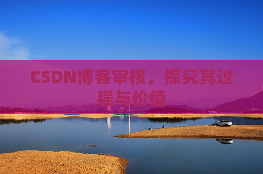 CSDN博客审核，探究其过程与价值